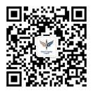 德赢Vwin Vision Plus Capital